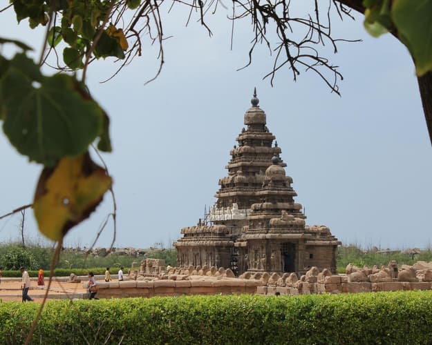 Immagine - The South India Culture Trip