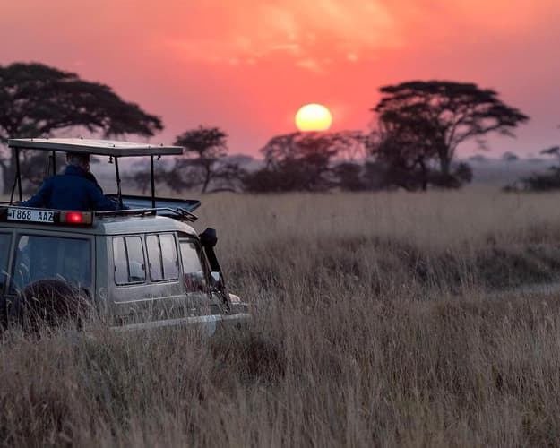 Immagine - Tanzania Mini Safari