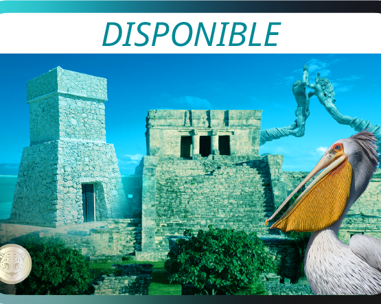 Image -  ALMA LIBRE EN EL CARIBE / TULUM - PLAYA DEL CARMEN - TULUM