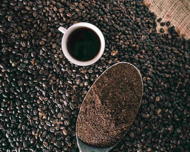 Imagen - RUTA DE COLOMBIA: CULTURA Y CAFÉ