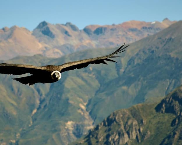 Immagine - Il fascino del Perù Misterioso