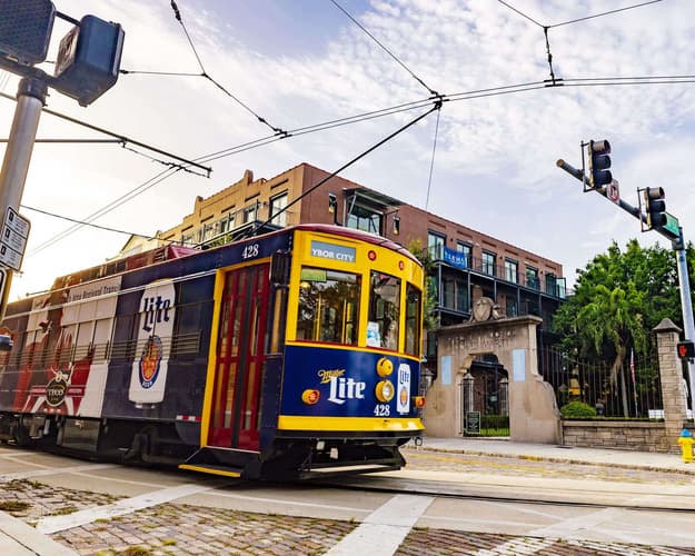 Imagen - Safari y Diversión: Explora Tampa