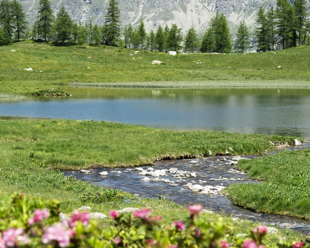 Immagine - Lago di Dres: biodiversità che origina dai ghiacci