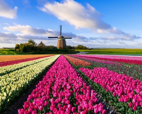 Imagem - Circuito Países Baixos, Bélgica e Luxemburgo - Setembro