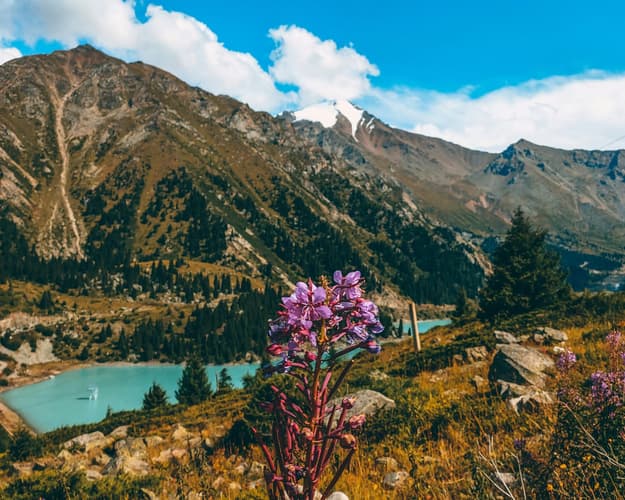 Image - Experience the Rich Culture and Nature of Almaty in 4 Days trip