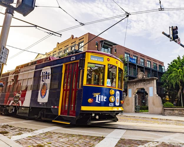 Image - Safari y Diversión: Explora Tampa