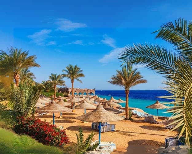 图像 - New Year's Eve in the Sun: Sharm Edition