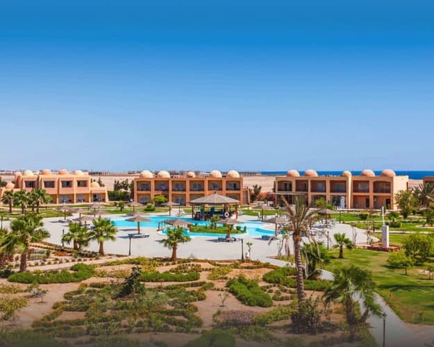 画像 -  Wadi Lahmy: Nature and Relaxation