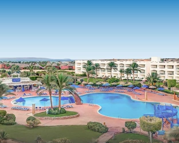 Immagine - Aurora Oriental Top Rated