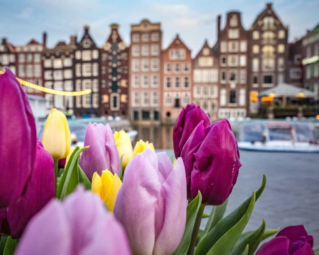 Image - Belgio e Olanda 9 giorni