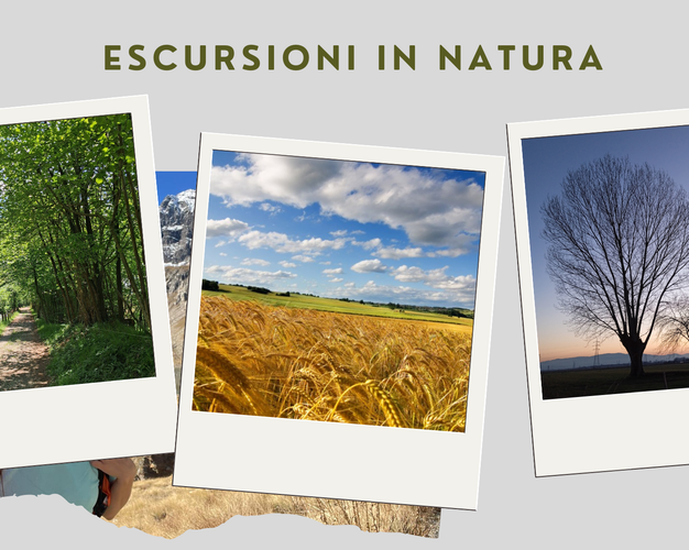 Immagine - CANAVESE DA SCOPRIRE: Canale Brissac, vigneti e castelli