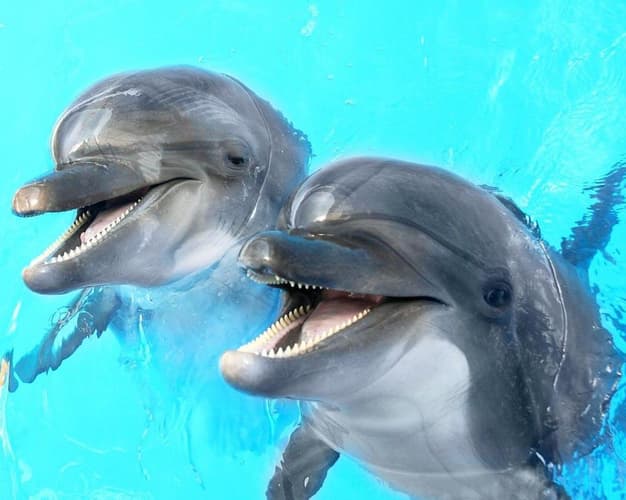 Image -  Family trip to Valencia