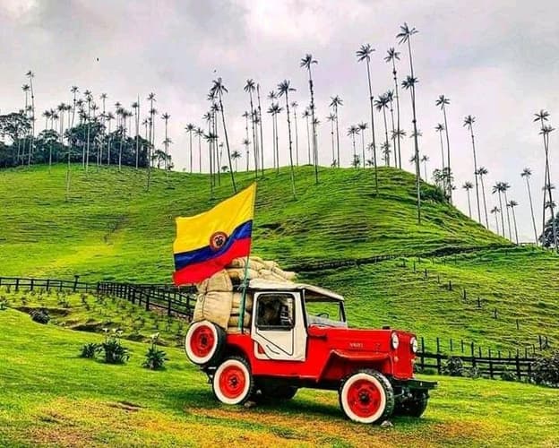 Imagen - AVENTURA TRICOLOR: BOGOTÁ, PEREIRA Y CARTAGENA