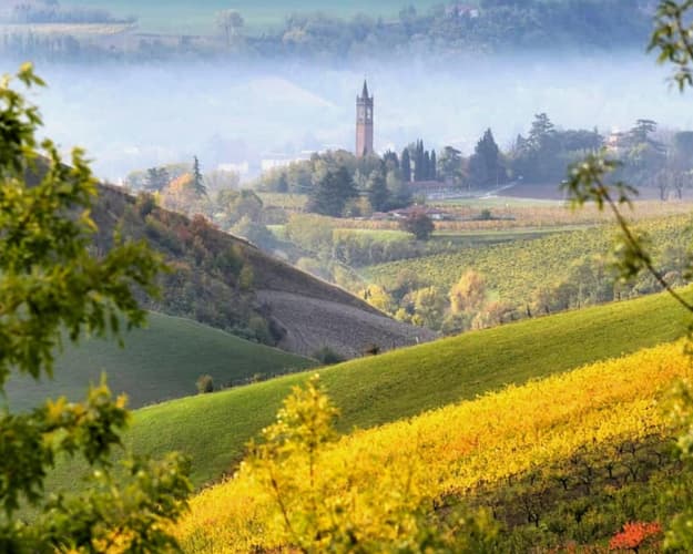 Imagen - Todos los sabores del Food Valley