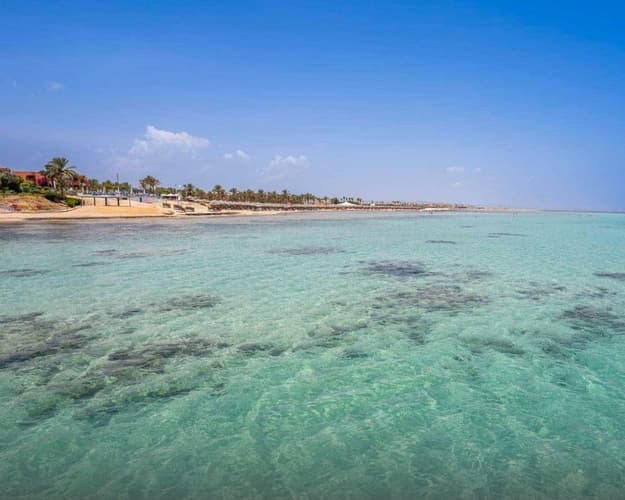 Immagine - Marsa Alam: il Mar Rosso selvaggio