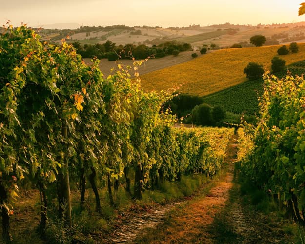 Bild - Die Dörfer der Marken zwischen Geschichte und Geschmack