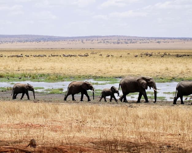 Immagine - Tanzania Experience