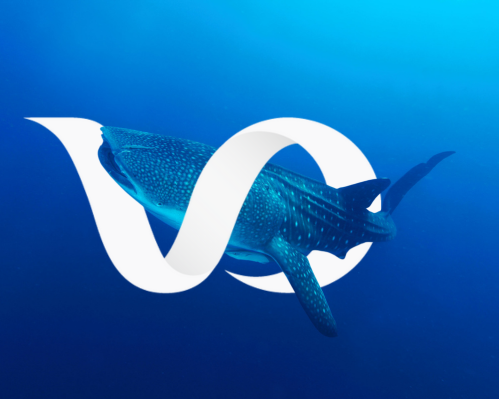 Image - Whale Shark Journey