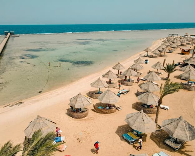 Immagine - MG Alexander The Great*** Marsa Alam