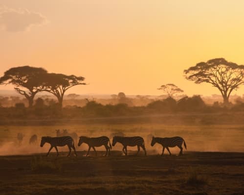 Image - Circuit au Kenya Safari en Terre Masaï de Marseille