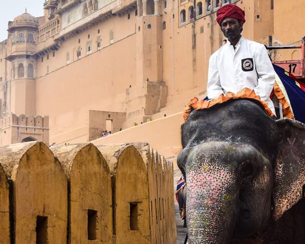 Immagine - Rajasthan Culture Trip 