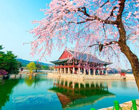 Beeld -  Zuid-Korea in een notendop