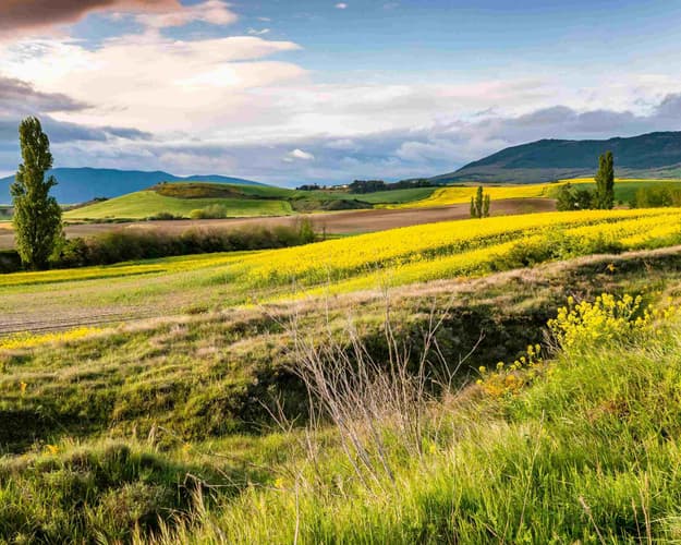 Image - Cammino di Santiago