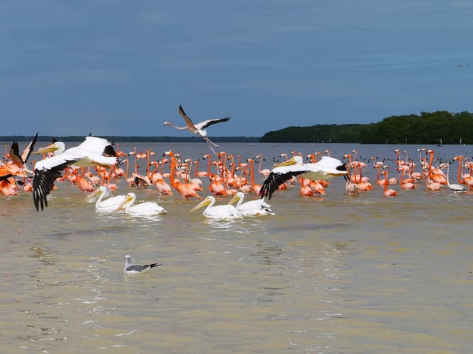 Imagen - Naturaleza y Cultura, Yucatán y Chiapas - Self Drive