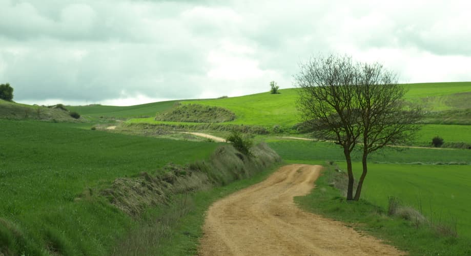 Image - Camino Santiago. Camino Portugués por el interior desde Tui autoguiado