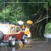 Imagen - Bali a tu aire, self drive