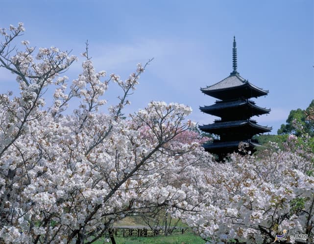 Imagen - Japón Colorido (Especial Primavera)