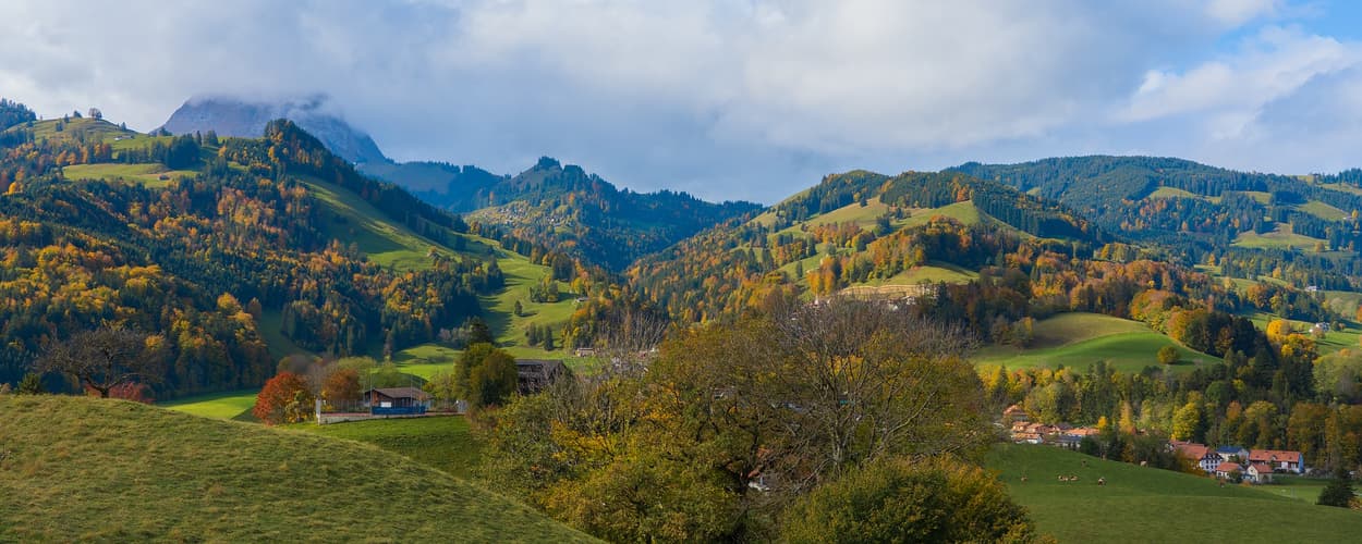 Imagen - Self Drive: Descubriendo Alsacia y Selva Negra