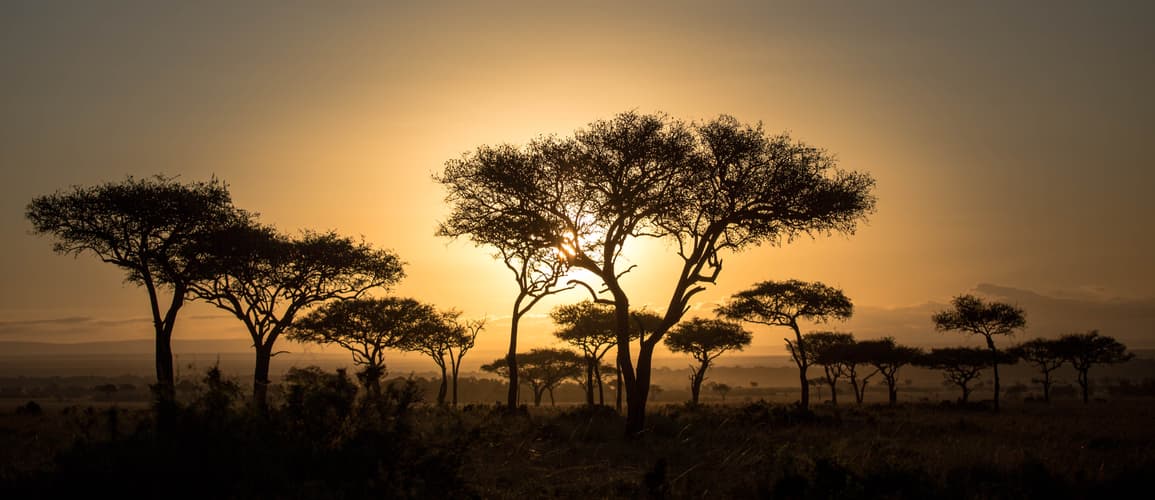 Imagen - Safari Bora en 4x4 - Kenia y Tanzania (Nairobi - Nairobi)