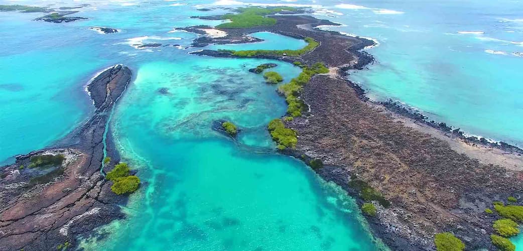 Image - Quito Cultural