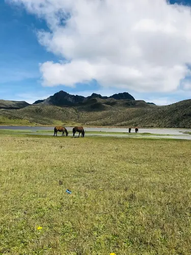Image - 6-Day Highlights of Mainland Ecuador: Quito, Otavalo, Cotopaxi & Mindo Cloud Forest