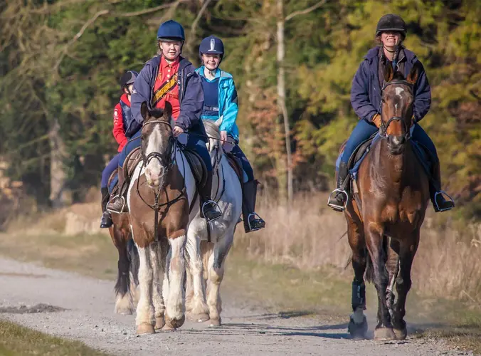 Irlanda: Monaghan - soggiorno equestre a castello leslie