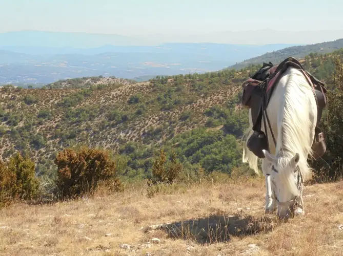 Discovering the Luberon Park