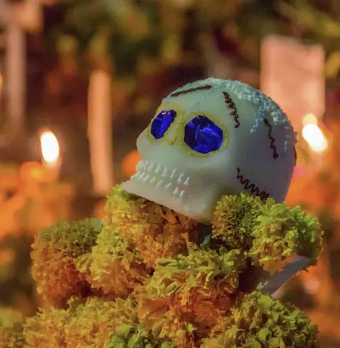 Imagem - Día de Muertos Ciudad de México - Salida Especial