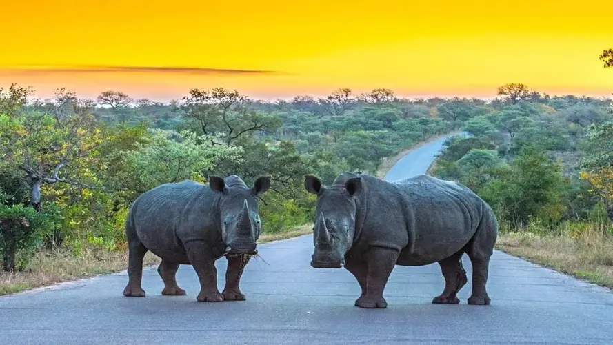 Resim - Spectacular South Africa