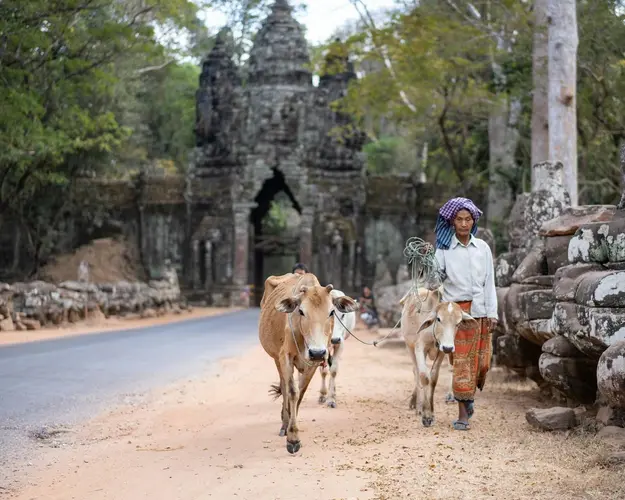 Bild - Auf den Spuren alter Königreiche - Kombinierte Rundreisen durch Vietnam & Kambodscha