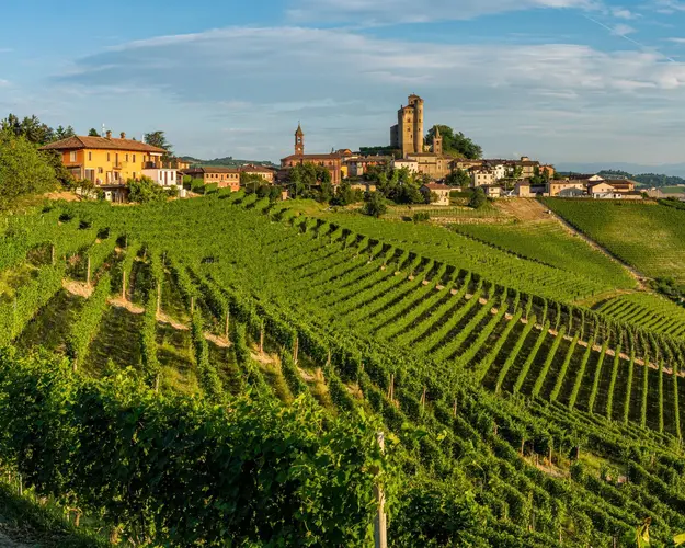 画像 - PIEDMONT - THE SCENTS OF THE LANGHE