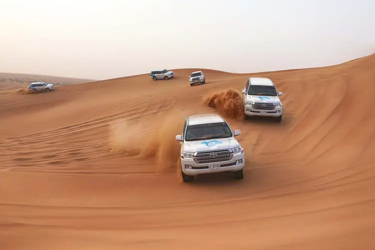 Immagine - Desert Safari in Dubai