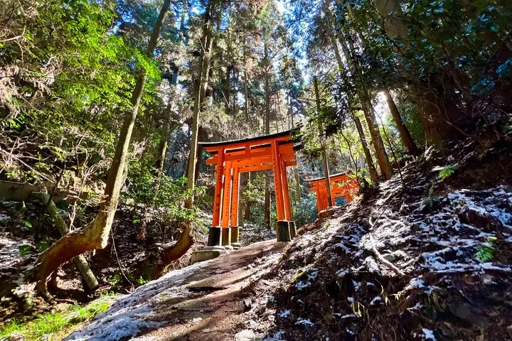 Imagine - Circuit Aventura in Japonia - mai 2026