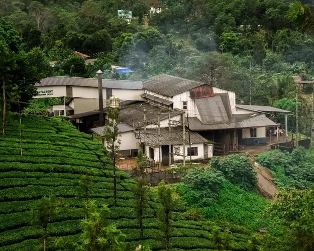 Image -  Kerala, Colombo, and Maldives