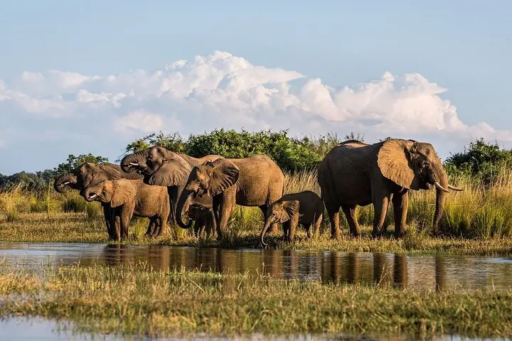 Imagine -  Exploreaza Africa de Sud - Cape Town, Winelands & Durban - iunie 2026