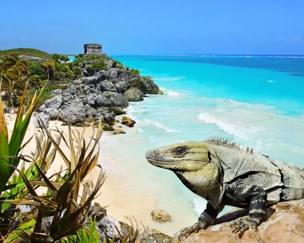 Şəkil -  6 Nights. Mexico, Honduras Cruise for 2 adult 