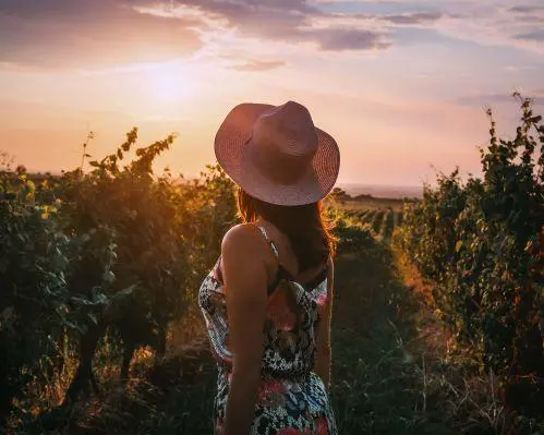 Imagen - En Corto la Ruta del Vino en Aguascalientes 2 días