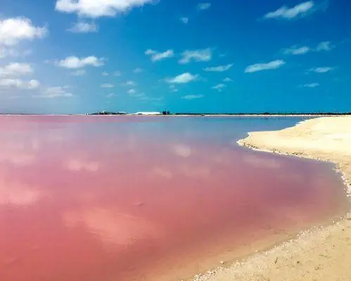 Imagen - Naturaleza de Yucatán 5 días