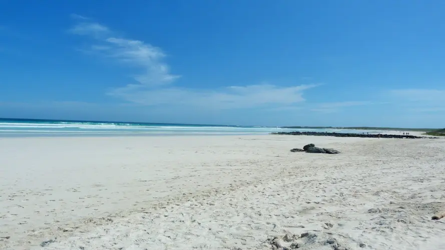 Imagen - 6 Días de Escapada a las Galápagos: Senderos Volcánicos y Encuentros con la Vida Silvestre