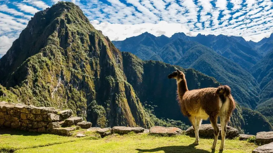 画像 - Lo mejor de Perú